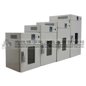BY6000系列電熱恒溫鼓風(fēng)干燥箱 BY6000系列電熱恒溫鼓風(fēng)干燥箱